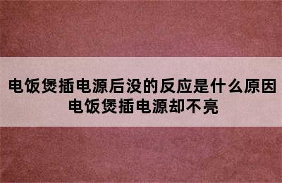 电饭煲插电源后没的反应是什么原因 电饭煲插电源却不亮